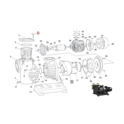 POMO CF M12X40 BOMBA CF 923 SACI