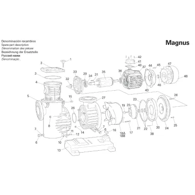 FILTRO BOMBA PISCINA SERIE MAGNUS 92402051 SACI