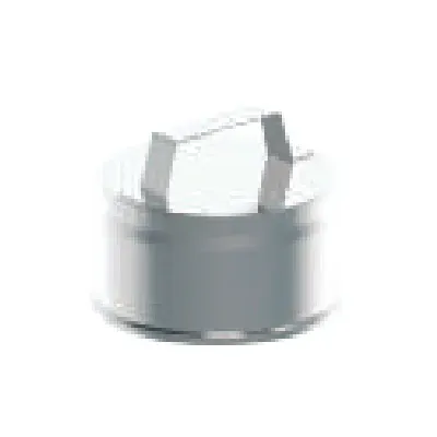 TAPA CHIMENEA SIMPLE PARED 200MM INOX AISI 316 ROS TAPA CHIMENEA SIMPLE PARED 200MM INOX AISI 316 ROS