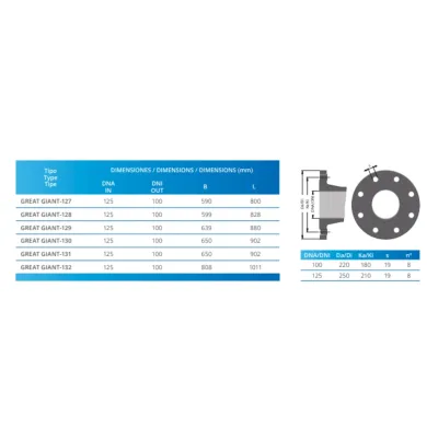 BOMBA PISCINA GREAT GIANT-132 DN125/DN100 15HP HIERRO PSH