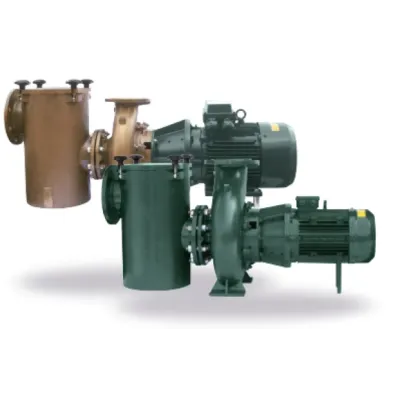 BOMBA PISCINA FDN-128H DN100/DN80 5.5HP HIERRO PSH