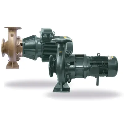 BOMBA PISCINA DN-228 DN100/DN80 12.5HP HIERRO PSH