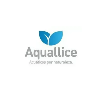 BOMBA AUTOASPIRANTE ASPIRE 2 200 MONOFASICA - AQUALLICE
