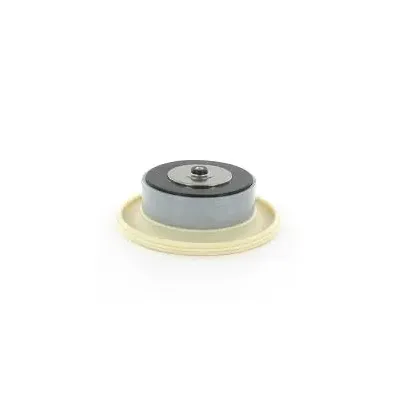 MEMBRANA ELECTRO VÁLVULA R-217  2" IRRITROL