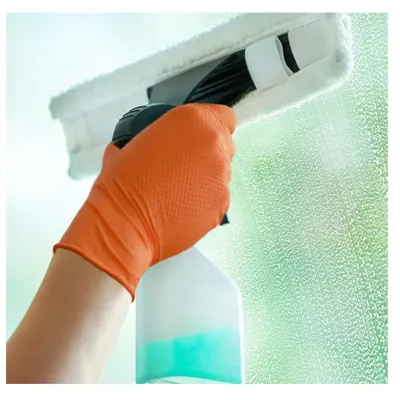 PAÑOS MICROFIBRA P/WV2  x2Unid KARCHER