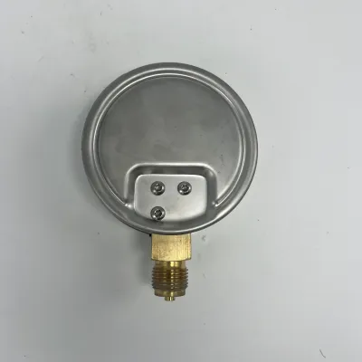 MANOMETRO INOX MN9/A DM100/0-100MBAR MEI