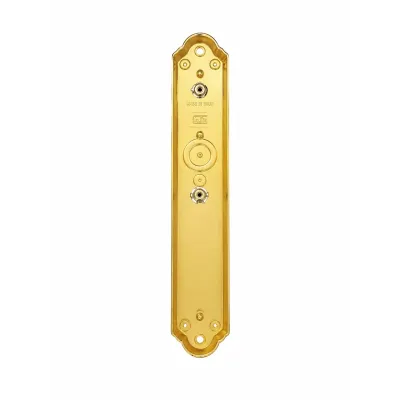 MANILLON C/PLACA 983/255MM LATON ORO SATINADO COBA