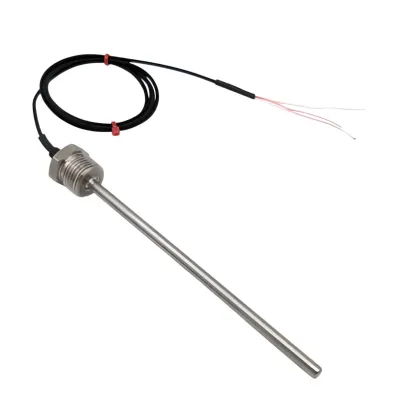 SONDA (PROBE) TEMPERATURA PT-100 1/4" AISI 316 SACI