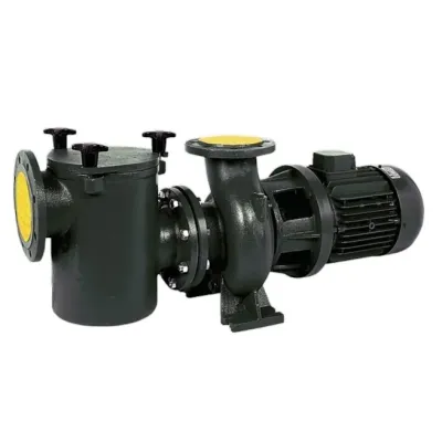 Bomba piscina CF2 300 IE2 SACI