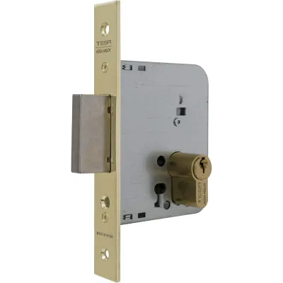 CERRADURA 2031/60/HL CON CILINDRO TESA